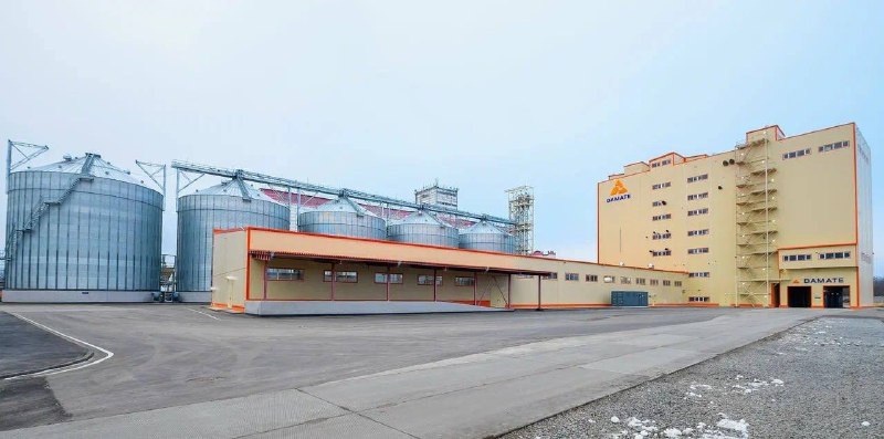 Иллюстрация 5