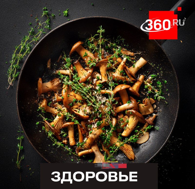 Как не стать жертвой первых весенних грибов: советы миколога