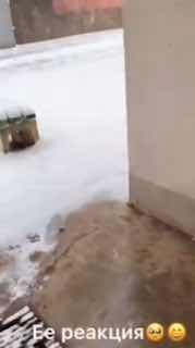 В Ставрополе выпал снег, пока в Москве наблюдается потепление