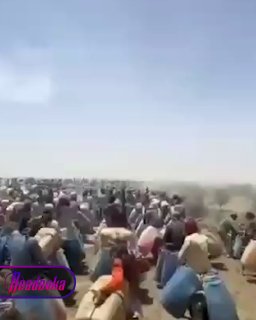 В соцсетях спорят о роликах с «топливными курьерами» на ирано-пакистанской границе