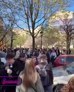Жители Петербурга массово посещают Сад Дружбы, чтобы посмотреть на цветение сакуры