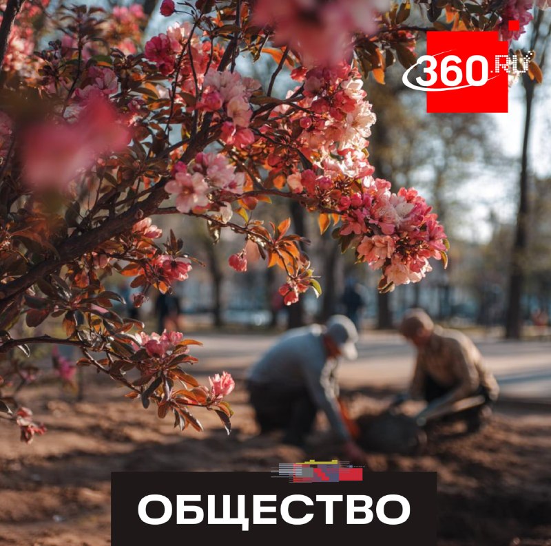 Иллюстрация 1
