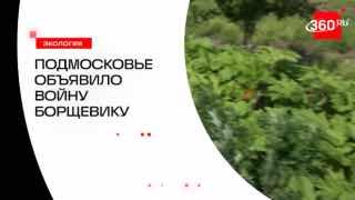 Иллюстрация 1