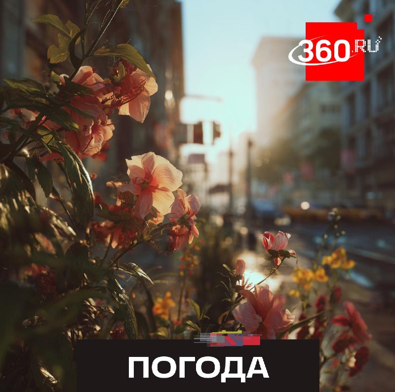 Иллюстрация 1