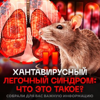 Иллюстрация 1