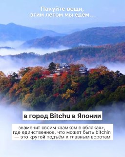 Иллюстрация 4