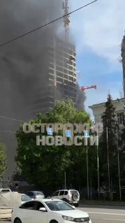 Иллюстрация 5