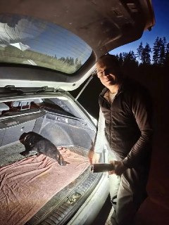 Иллюстрация 2