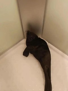 Иллюстрация 1