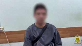 Иллюстрация 1