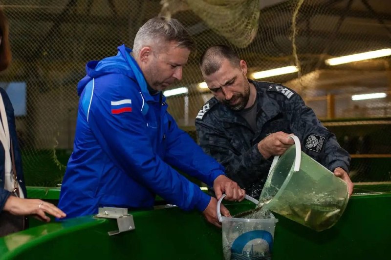 Иллюстрация 2