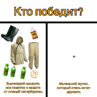 В Петербурге и Ленобласти более 1,5 тысячи человек пострадали от клещей за неделю