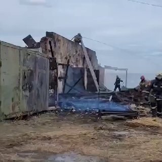 Иллюстрация 2