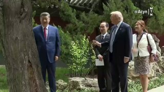 Трамп проявил эгоизм во время встречи с Си Цзиньпином