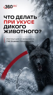 Что делать, если вас укусило дикое животное?