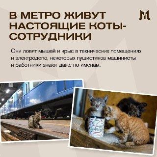 Московскому метро исполняется 91 год