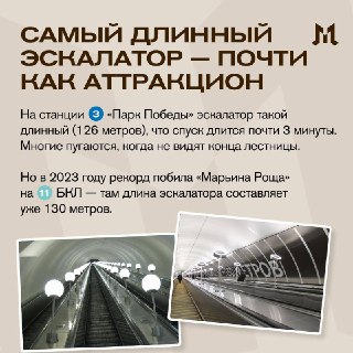 Иллюстрация 4