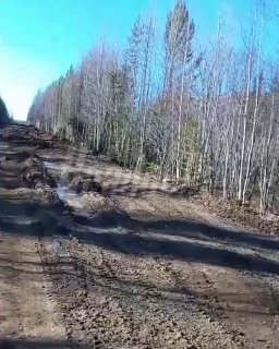 Разбитая грузовиками дорога отрезала от цивилизации поселок в Иркутской области