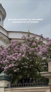 Москвичи застряли на перекрестке на Таганской