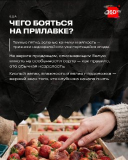 Иллюстрация 3