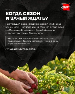 Иллюстрация 1