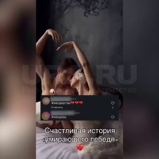 Артистов Большого театра отменяют из-за фото с больным лебедем