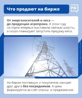Иллюстрация 1