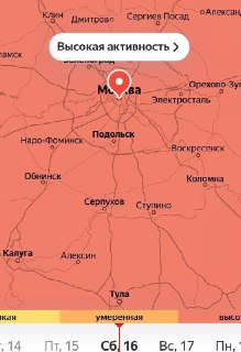 В Москве и Подмосковье растёт концентрация пыльцы берёзы
