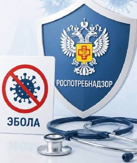 Роспотребнадзор опроверг риски распространения лихорадки Эбола в России