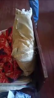 Реформа ТЦК в Украине: усиление контроля и борьба с коррупцией в медкомиссиях