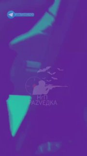 НгП раZVедка