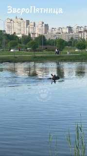 Иллюстрация 3