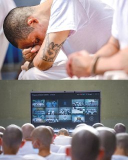 Иллюстрация 6