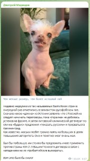 Дмитрий Медведев ответил на заявления представителей стран Балтии