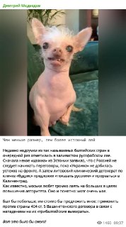 Медведев прокомментировал угрозы МИД Литвы о нападении на Калининград