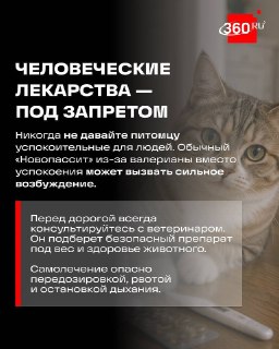 Иллюстрация 3
