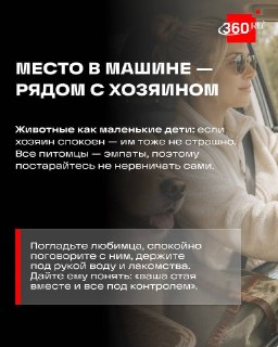 Иллюстрация 4