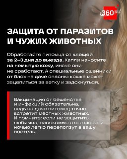 Иллюстрация 5