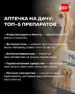 Иллюстрация 1