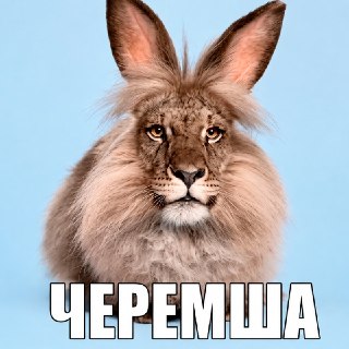 Иллюстрация 4