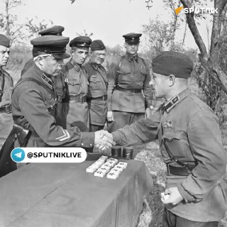 История создания ордена Отечественной войны