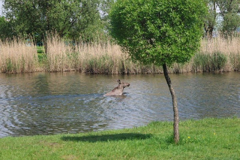 Иллюстрация 3