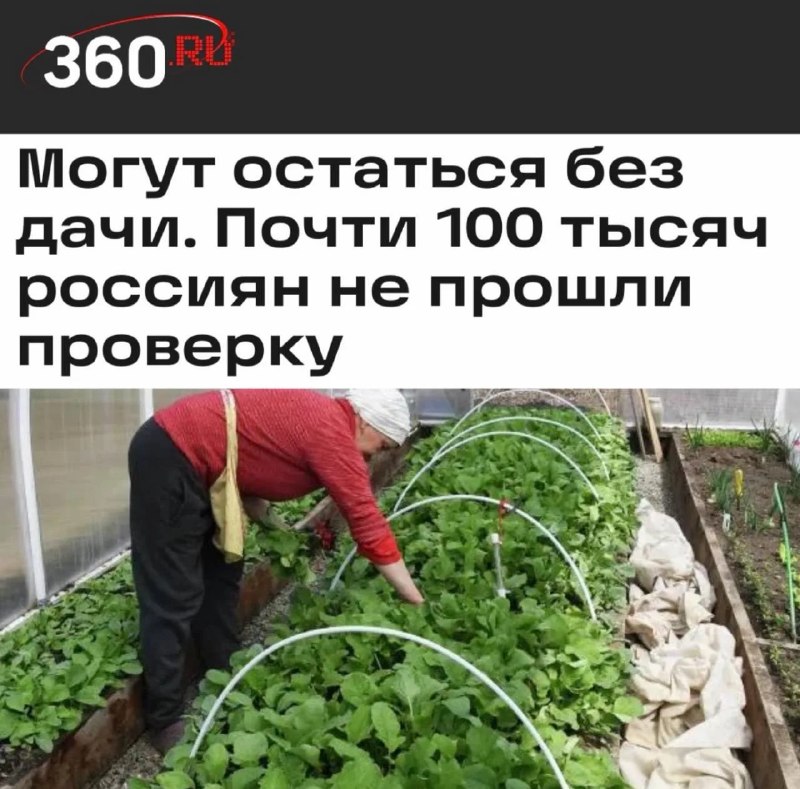 В России около 100 тысяч человек могут лишиться заброшенных земельных участков