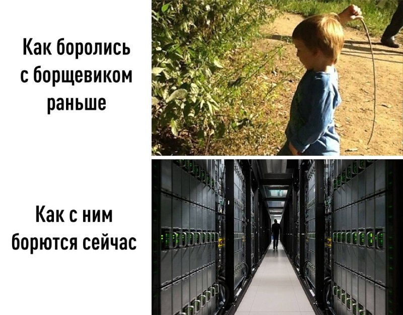 ИИ-сервис Яндекса для поиска борщевика получил премию «Зелёная цифра»