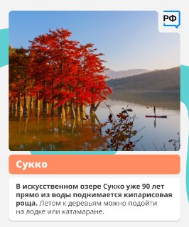 Иллюстрация 9