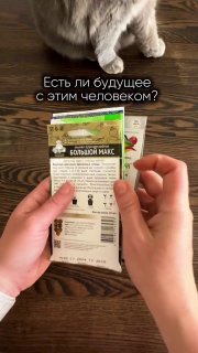 Иллюстрация 2