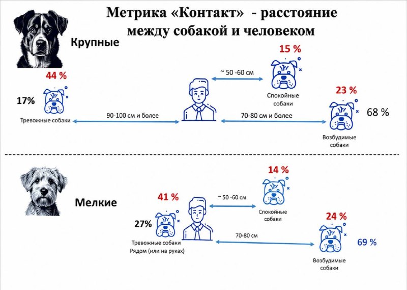 Ученые научились определять тревожность у собак по дистанции от хозяина и температуре носа