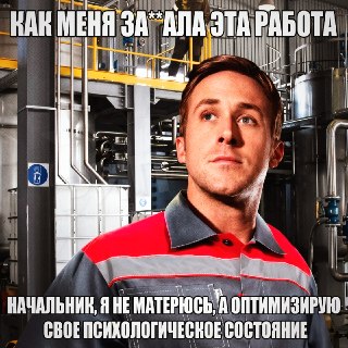Исследование: мат помогает сотрудникам работать эффективнее