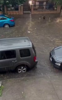 Иллюстрация 1