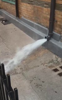 Иллюстрация 2